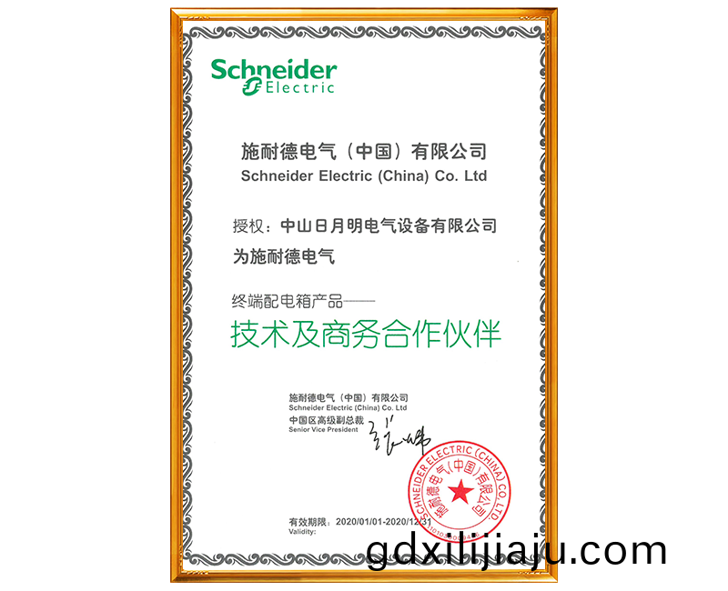 2020技術及商務郃作伙伴證書