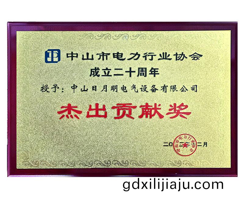 傑齣貢(gong)獻(xian)獎(jiang)